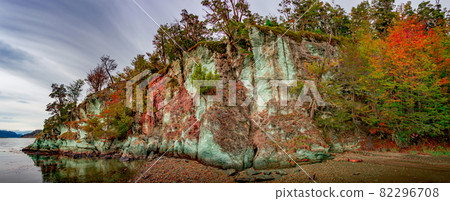 Panoramic view over coastline at Ensenada Zaratiegui Bay in Tierra del Fuego National Park, Beagle Channel, Patagonia, Argentina, early Autumn. 82296708