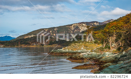 Panoramic view over beautiful sunset at Ensenada Zaratiegui Bay in Tierra del Fuego National Park, near Ushuaia and Beagle Channel, Patagonia, Argentina, early Autumn. 82296724