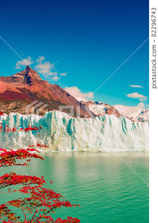 Wonderful view at the huge Perito Moreno glacier in Patagonia in golden Autumn, South America 82296743