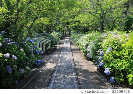 Chohoji Temple 23 82296768