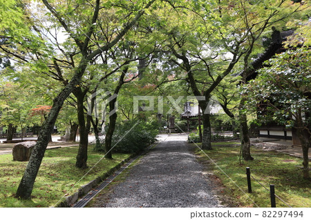一座寺廟花園,石板路被各種樹木覆蓋 一座寺廟花園,石板路被各種樹木覆蓋 82297494
