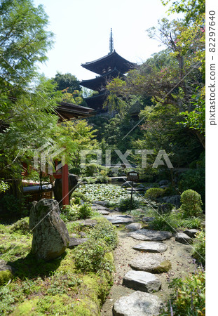 奈良縣葛城市 Toma-dera Nakanobo Kogūen and East Tower Katsuragi City 奈良縣葛城市 Toma-dera Nakanobo Kogūen and East Tower Katsuragi City 82297640