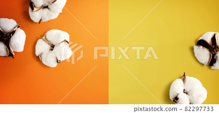 White cotton flowers 82297733