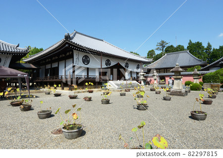 Taima-dera Okuin precincts Katsuragi City, Nara Prefecture Taima-dera Okuin precincts Katsuragi City, Nara Prefecture 82297815