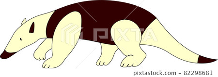 Illustration of anteater Illustration of anteater 82298681