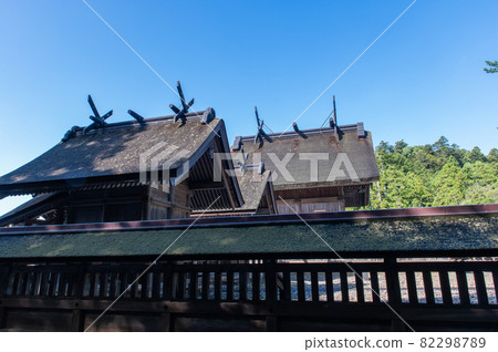 A place where gods gather Izumo Taisha 82298789