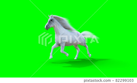 Runing white horse. Green screen. 3d rendering. 82299103