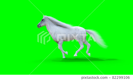 Runing white horse. Green screen. 3d rendering. 82299106