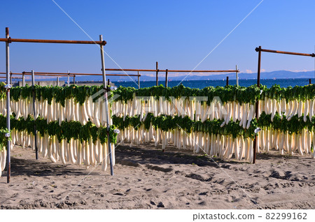 Sun-dried radish on Miura Beach in winter 82299162