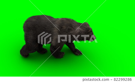 Walking bear. Green screen isolate. 3d rendering. Walking bear. Green screen isolate. 3d rendering. 82299286