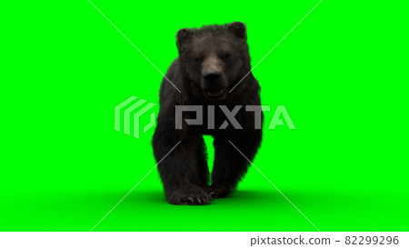 Walking bear. Green screen isolate. 3d rendering. 82299296