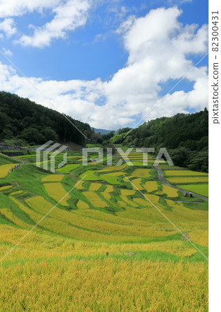Landscape of rice terraces with depth in the autumn sky (Yokone rice terraces) Landscape of rice terraces with depth in the autumn sky (Yokone rice terraces) 82300431