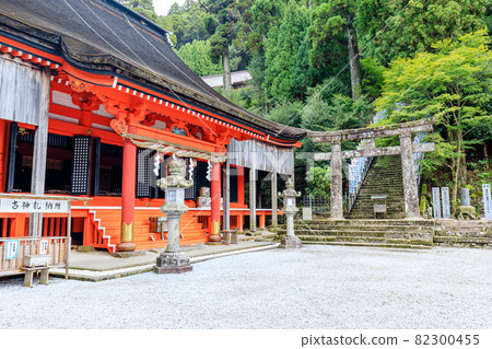 Summer Hikosan Jingu Shrine, Tagawa-gun, Fukuoka Prefecture Summer Hikosan Jingu Shrine, Tagawa-gun, Fukuoka Prefecture 82300455