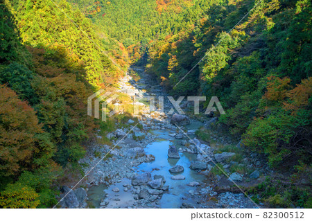 View from Tosenbashi Autumn scenery Autumn leaves season 82300512