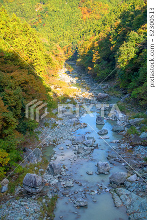 從東仙橋眺望 秋景 紅葉季節 從東仙橋眺望 秋景 紅葉季節 82300513