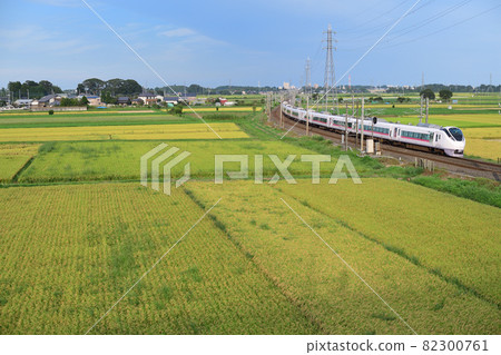 常磐線E657系列特快列車貫穿稻田蔓延的鄉村 82300761