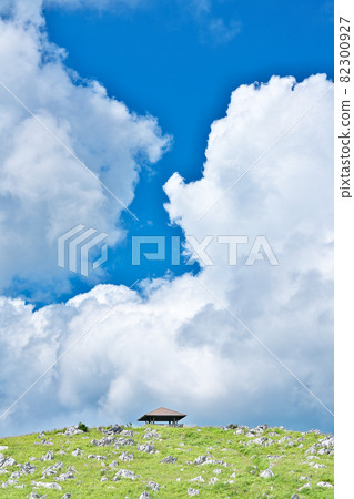 [Shikoku Karst (Tengu Highlands Observatory)] Yoshiunoko, Tsuno-cho, Takaoka-gun, Kochi Prefecture 82300927