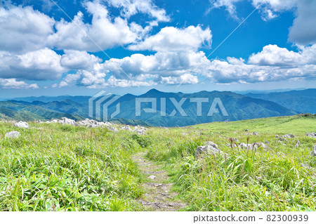 [Shikoku Karst (Tengu Highlands Observatory)] Yoshiunoko, Tsuno-cho, Takaoka-gun, Kochi Prefecture 82300939