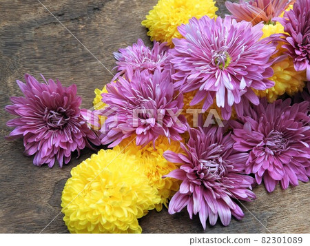 edible chrysanthemum edible chrysanthemum 82301089