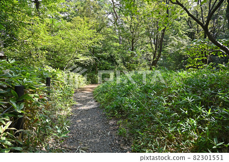 目黑區駒場公園步行道 82301551