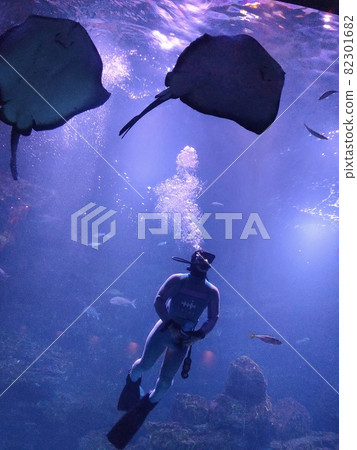 潛水員與鰩魚一起游泳 82301682