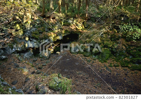 富士風洞 富士風洞 82301827