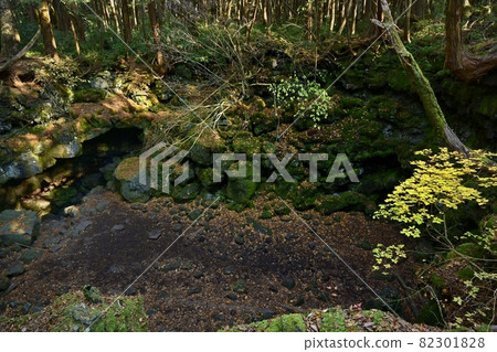 Fuji wind hole 82301828