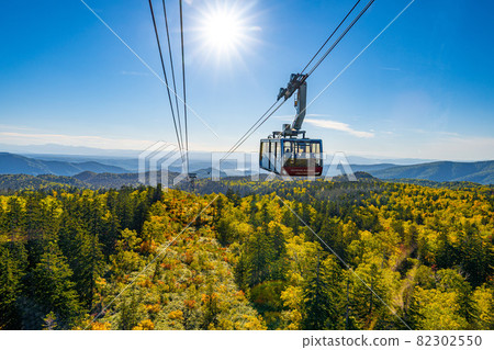 Hokkaido Asahidake mountain climbing autumn leaves Daisetsuzan system autumn Hokkaido Asahidake mountain climbing autumn leaves Daisetsuzan system autumn 82302550