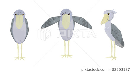 Shoebill bird illustration set 82303187