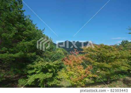 《岡山縣》奧津湖浮島風光【夏季】 82303443