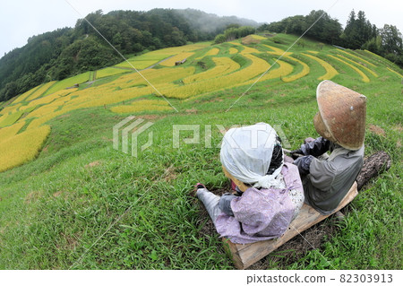 The fruit of the Yokone rice paddy seen by an old couple of Scarecrow The fruit of the Yokone rice paddy seen by an old couple of Scarecrow 82303913