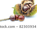 Autumn of harvest-Chestnut fruit 82303934