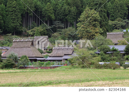 Autumn Miyama Kayabuki no Sato Soba flowers and cluster amaryllis [Kyoto Prefecture] 82304166