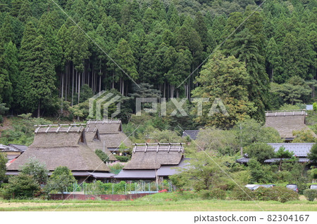 Autumn Miyama Kayabuki no Sato Soba flowers and cluster amaryllis [Kyoto Prefecture] 82304167