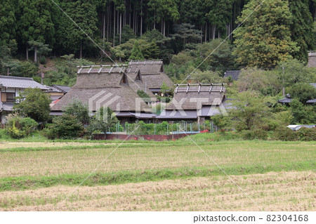 Autumn Miyama Kayabuki no Sato Soba flowers and cluster amaryllis [Kyoto Prefecture] 82304168
