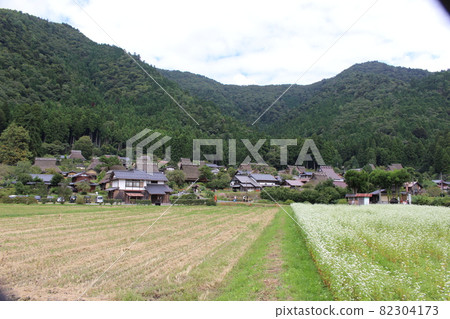 Autumn Miyama Kayabuki no Sato Soba flowers and cluster amaryllis [Kyoto Prefecture] 82304173