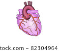 Blood vessel of the heart 82304964