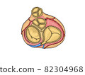 Valve in the heart 82304968