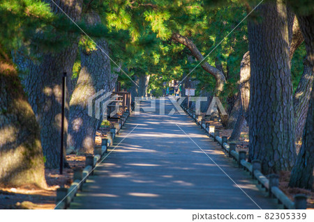 World Heritage Miho no Matsubara God's Road World Heritage Miho no Matsubara God's Road 82305339