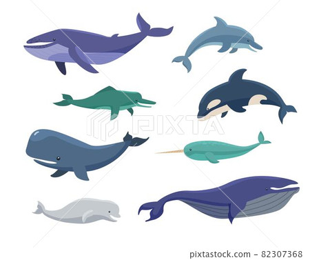 Whales, bowheads, narwhals, orcas cartoon illustration set 82307368