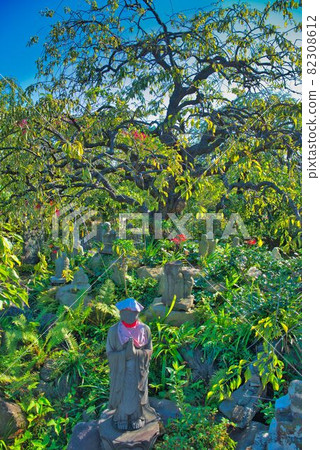 Jizo and autumn scenery 82308612