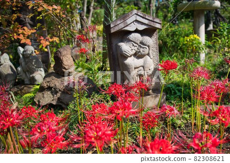 Collaboration of cluster amaryllis and stone statue 82308621