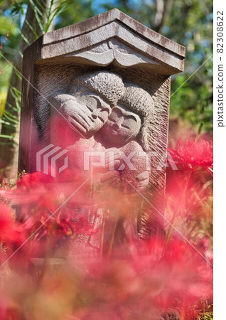 Stone statue wearing cluster amaryllis 82308622