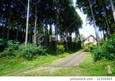 森林山路盡頭的住宿 82308804