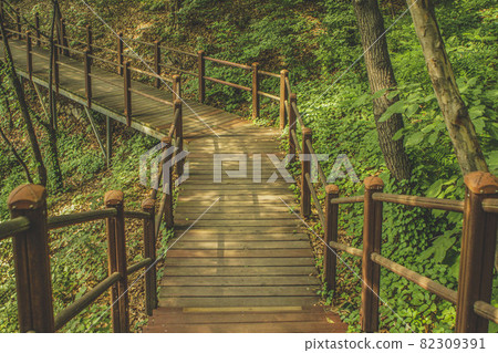 開雲山山路 82309391