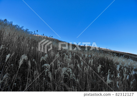 Suzuki field 82312127