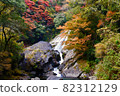 Autumn leaves and waterfall 82312129
