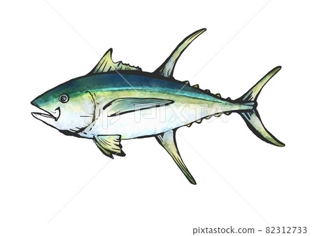 Yellowfin tuna hand-painted brush painting style illustration Yellowfin tuna hand-painted brush painting style illustration 82312733