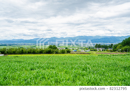Yamagata village where pasture spreads 82312795