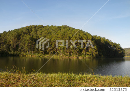 Tranquil scenery of lakeside forest. Tranquil scenery of lakeside forest. 82313873